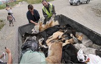 /album/salvanimales/a8380711734-82bba810c8-jpg2/